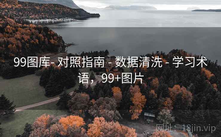99图库- 对照指南 - 数据清洗 - 学习术语，99+图片